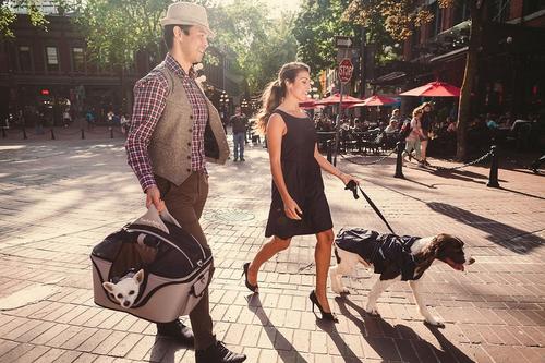 Show full view: One for Pets The Deluxe Cozy Dog & Cat Carrier, Powder Blue, Mini slide 6 of 12