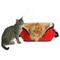 Show in main carousel: One for Pets The Deluxe Cozy Dog & Cat Carrier, Red, Large slide 4 of 12