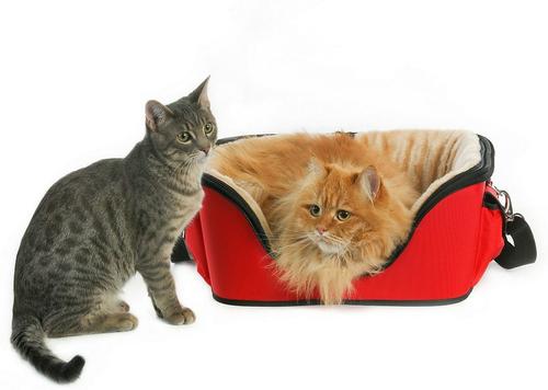 Show full view: One for Pets The Deluxe Cozy Dog & Cat Carrier, Red, Large slide 4 of 12