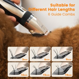 OneIsAll 2-in-1 Cordless Stainless Steel Low-Noise Dog & Cat Grooming Clipper & Paw Trimmer Kit