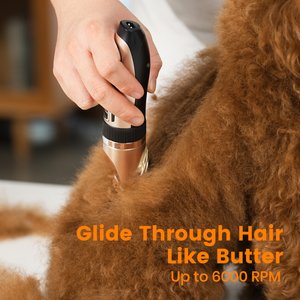 OneIsAll 2-in-1 Cordless Stainless Steel Low-Noise Dog & Cat Grooming Clipper & Paw Trimmer Kit