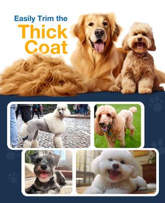 Show full view: OneIsAll RFC-676 Cordless Stainless Steel Waterproof Dog Grooming Clipper, Silver slide 9 of 11