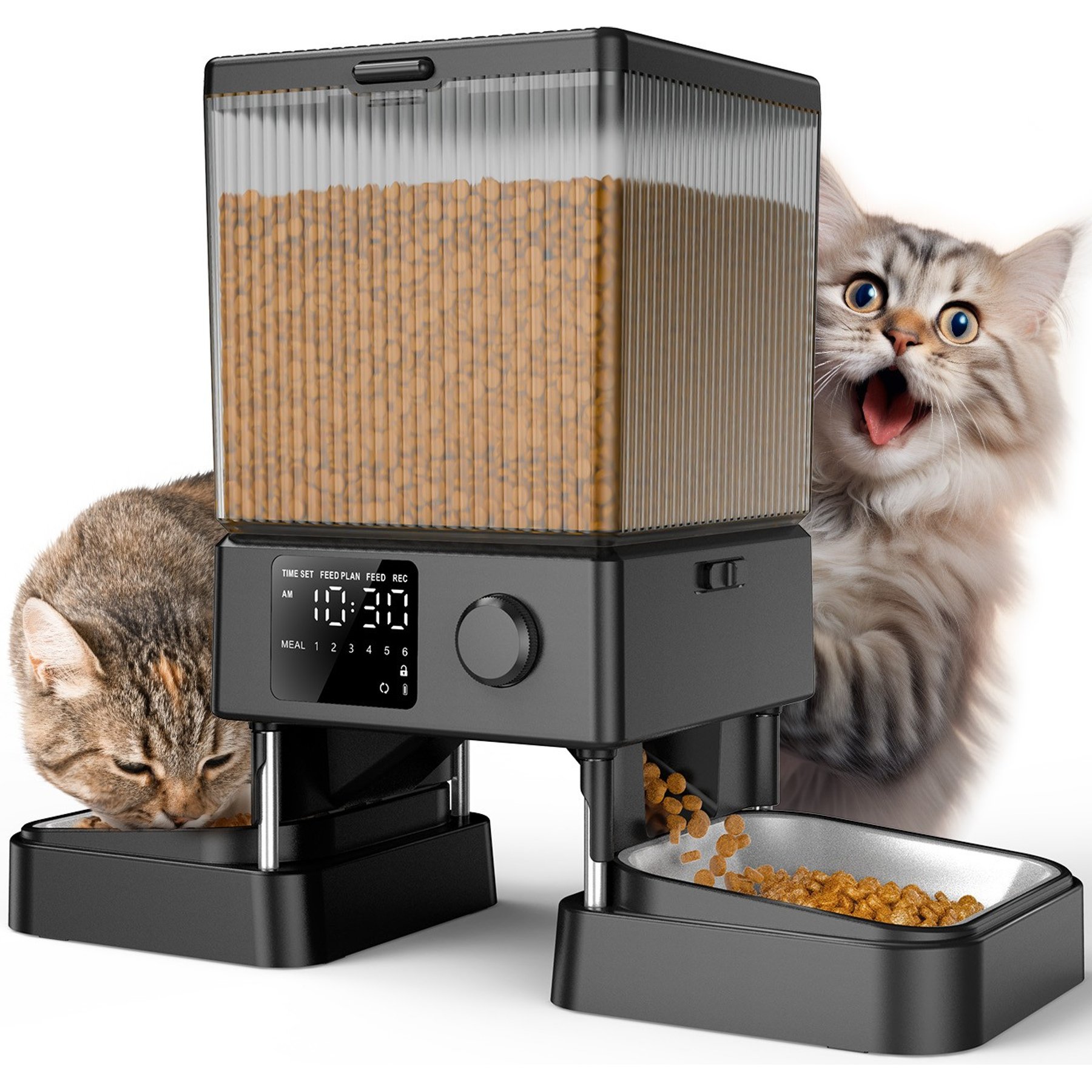 Stainless Steel Automatic Cat Feeder