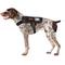 Show in main carousel: OneTigris Apollo 09 Tactical Dog Harness, Black, 17 to 35-in chest slide 1 of 10