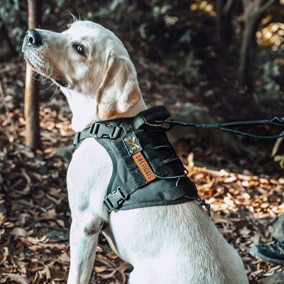 Show full view: OneTigris FIRE WATCHER 2.0 No Pull Dog Harness, Black, Small: 20 to 27-in chest slide 4 of 11