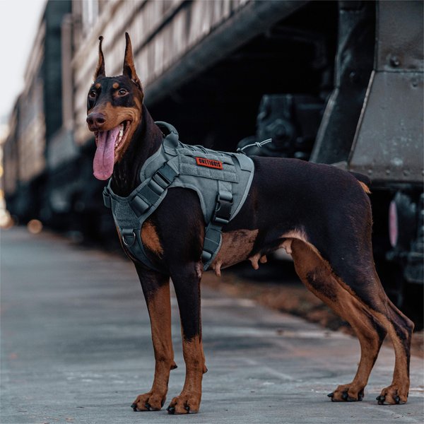 OneTigris Arnés táctico sin tirones para perro mediano, arnés de cha