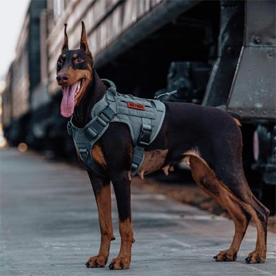 Show full view: OneTigris FIRE WATCHER 2.0 No Pull Dog Harness, Grey, Large: 27 to 36-in chest slide 6 of 11