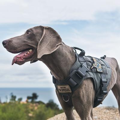 Show full view: OneTigris FIRE WATCHER 2.0 No Pull Dog Harness, Grey, Large: 27 to 36-in chest slide 7 of 11