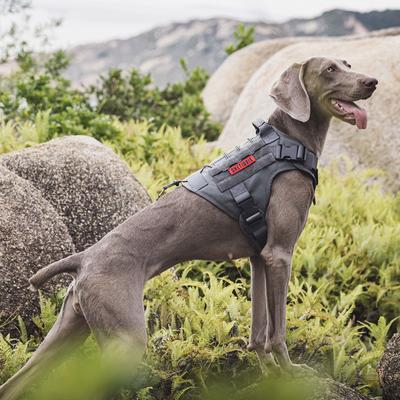 Show full view: OneTigris FIRE WATCHER 2.0 No Pull Dog Harness, Grey, Large: 27 to 36-in chest slide 8 of 11