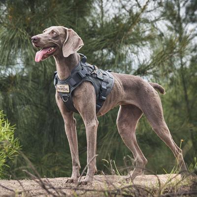 Show full view: OneTigris FIRE WATCHER 2.0 No Pull Dog Harness, Grey, Medium: 24 to 32-in chest slide 9 of 11