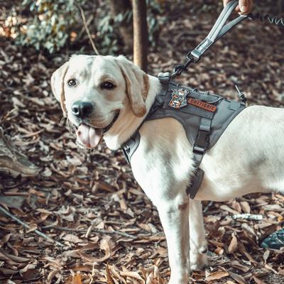 Show full view: OneTigris FIRE WATCHER 2.0 No Pull Dog Harness, Grey, Medium: 24 to 32-in chest slide 7 of 11