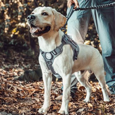 Show full view: OneTigris FIRE WATCHER 2.0 No Pull Dog Harness, Grey, Small: 20 to 27-in chest slide 9 of 11