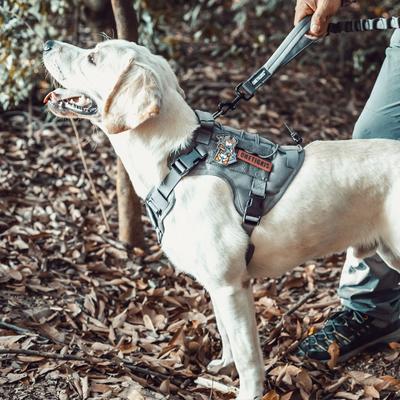 Show full view: OneTigris FIRE WATCHER 2.0 No Pull Dog Harness, Grey, Small: 20 to 27-in chest slide 3 of 11