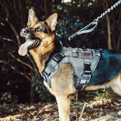 Show full view: OneTigris FIRE WATCHER 2.0 No Pull Dog Harness, Grey, X-Large: 31 to 40-in chest slide 2 of 10
