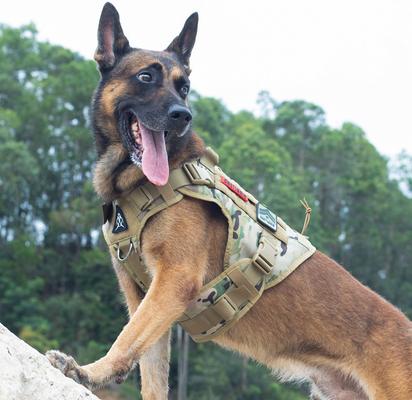 Show full view: OneTigris FIRE WATCHER 2.0 No Pull Dog Harness, Multicam, Large: 27 to 36-in chest slide 3 of 12