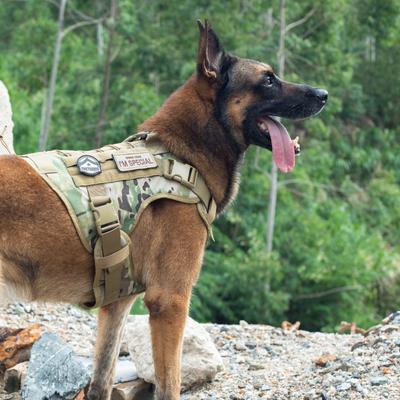 Show full view: OneTigris FIRE WATCHER 2.0 No Pull Dog Harness, Multicam, Large: 27 to 36-in chest slide 4 of 12