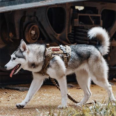 OneTigris FIRE WATCHER 2.0 No Pull Dog Harness