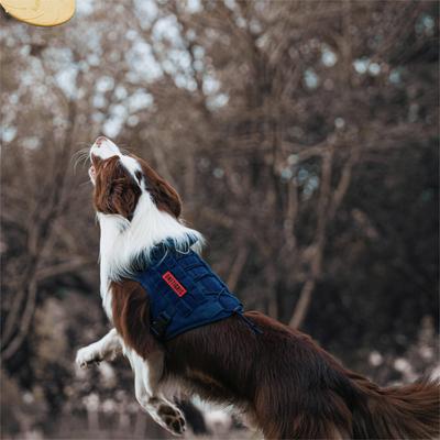 Show full view: OneTigris FIRE WATCHER 2.0 No Pull Dog Harness, Navy Blue, Medium: 24 to 32-in chest slide 2 of 10