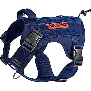 Carhartt Training Dog Harness