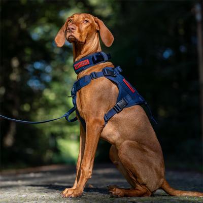 Show full view: OneTigris FIRE WATCHER 2.0 No Pull Dog Harness, Navy Blue, Small: 20 to 27-in chest slide 7 of 10