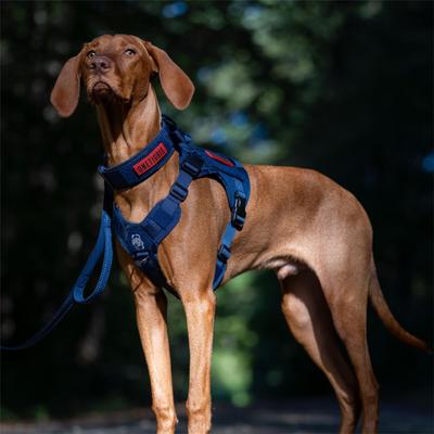 Show full view: OneTigris FIRE WATCHER 2.0 No Pull Dog Harness, Navy Blue, Small: 20 to 27-in chest slide 2 of 10