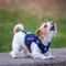 Show in main carousel: OneTigris FIRE WATCHER 2.0 No Pull Dog Harness, Navy Blue, X-Small: 15 to 22-in chest slide 5 of 12