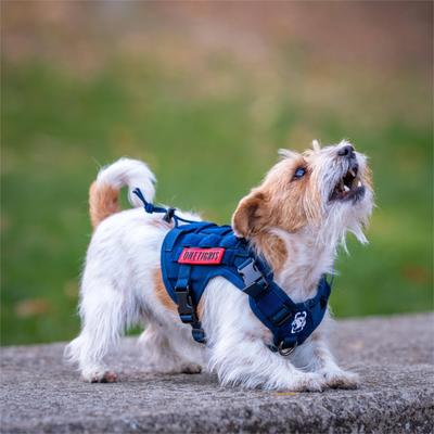 Show full view: OneTigris FIRE WATCHER 2.0 No Pull Dog Harness, Navy Blue, X-Small: 15 to 22-in chest slide 5 of 12