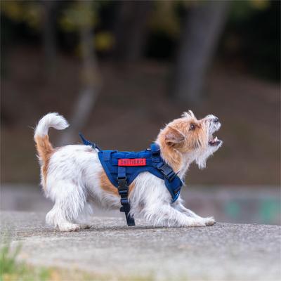 Show full view: OneTigris FIRE WATCHER 2.0 No Pull Dog Harness, Navy Blue, X-Small: 15 to 22-in chest slide 3 of 12