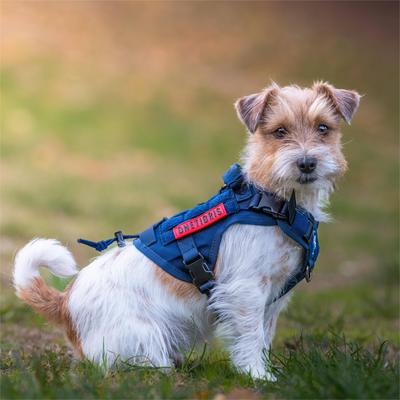 Show full view: OneTigris FIRE WATCHER 2.0 No Pull Dog Harness, Navy Blue, X-Small: 15 to 22-in chest slide 4 of 12