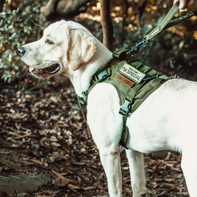 Show full view: OneTigris FIRE WATCHER 2.0 No Pull Dog Harness, Ranger Green, Small: 20 to 27-in chest slide 5 of 12