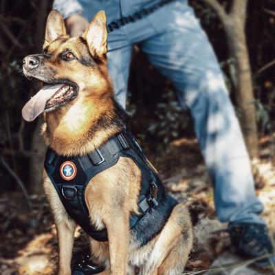 Show full view: OneTigris FIRE WATCHER 2.0 Tactical Dog Harness, Black, Large, Chest Girth 27-36-in slide 3 of 12