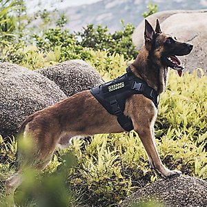 OneTigris FIRE WATCHER 2.0 Tactical Dog Harness, Black, Large, Chest Girth 27-36-in