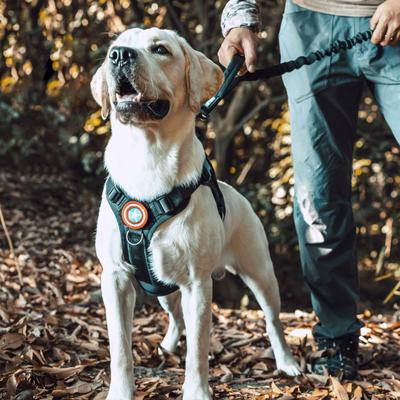 Show full view: OneTigris FIRE WATCHER 2.0 Tactical Dog Harness, Black, Medium, Chest Girth 24-32-in slide 7 of 12