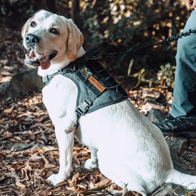 Show full view: OneTigris FIRE WATCHER 2.0 Tactical Dog Harness, Black, Medium, Chest Girth 24-32-in slide 9 of 12