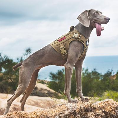 Show full view: OneTigris FIRE WATCHER 2.0 Tactical Dog Harness, Cotoye Brown, Large, Chest Girth 27-36-in slide 10 of 13