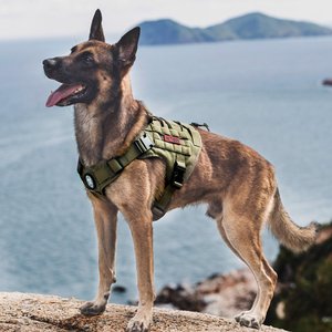 OneTigris FIRE WATCHER 2.0 Tactical Dog Harness, Ranger green, Large, Chest Girth 27-36-in