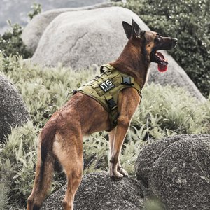 OneTigris FIRE WATCHER 2.0 Tactical Dog Harness, Ranger green, Large, Chest Girth 27-36-in