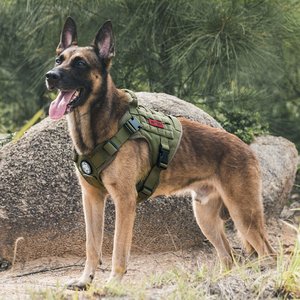 OneTigris FIRE WATCHER 2.0 Tactical Dog Harness, Ranger green, Large, Chest Girth 27-36-in
