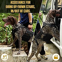 OneTigris Full Body Dog Lift Support Harness, Black, Medium slide 2 of 9