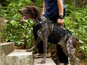 Show full view: OneTigris Full Body Dog Lift Support Harness, Black, Small slide 8 of 11