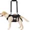 Show in main carousel: OneTigris Full Body Dog Lift Support Harness, Black, Small slide 3 of 11