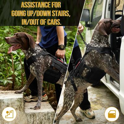 Show full view: OneTigris Full Body Dog Lift Support Harness, Black, X-Large slide 8 of 11