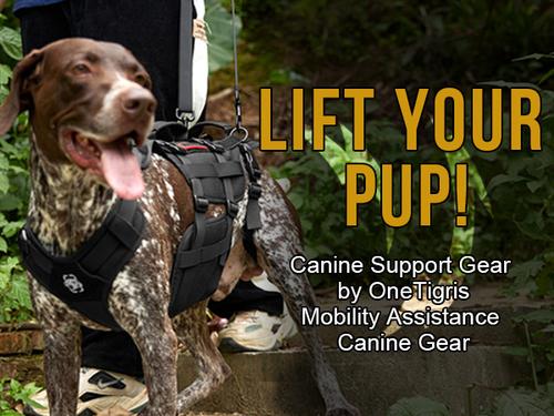 Show full view: OneTigris Full Body Dog Lift Support Harness, Black, X-Large slide 3 of 11