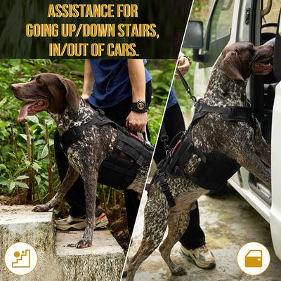 Show full view: OneTigris Full Body Dog Lift Support Harness, Black, XX-Large slide 9 of 11