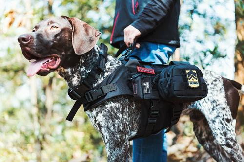 Show full view: OneTigris Mini Dog Poop Bag Pouch slide 3 of 7