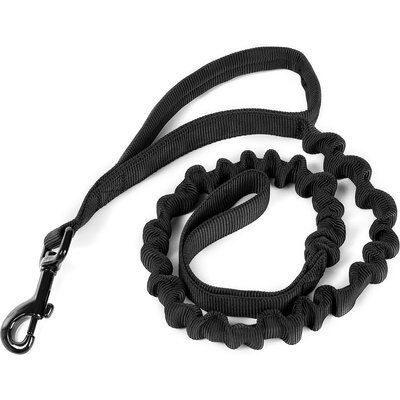 OneTigris OneTigris Training Nylon Bungee Dog Leash, Black, 3.875-ft long, 1-in wide