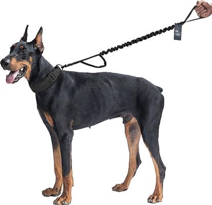 Show full view: OneTigris Training Nylon Bungee Dog Leash, Black, 3.875-ft long, 1-in wide slide 4 of 11