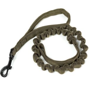 OneTigris Training Nylon Bungee Dog Leash, Ranger Green, 3.875-ft long, 1-in wide