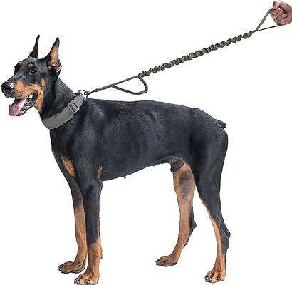 Show full view: OneTigris Training Nylon Bungee Dog Leash, Ranger Green, 3.875-ft long, 1-in wide slide 3 of 9