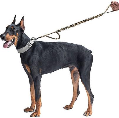 Show full view: OneTigris Training Nylon Bungee Dog Leash, Tan, 3.875-ft long, 1-in wide slide 5 of 12